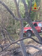 Ascoli Piceno, incendio bosco a Venagrande