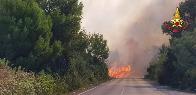 Lecce, vasto incendio di macchia mediterranea a pineta