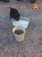 Catania, i Vigili del Fuoco del Comando portano in salvo un cucciolo di cane