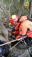 Reggio Calabria, tratto in salvo un segugio caduto accidentalmente in un dirupo