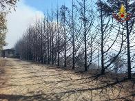 	Crotone, emergenza incendi boschivi