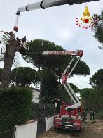 Ferrara, i Vigili del fuoco impegnati in numerosi interventi a causa del maltempo
