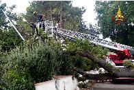 Caduta albero a Villa Musone