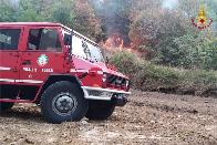 Forl-Cesena, incendio bosco a Borghi