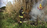 Ancona, incendio sterpaglie nel comune di Falconara M.ma