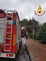 Toscana, numerosi interventi dei Vigili del fuoco a causa del maltempo