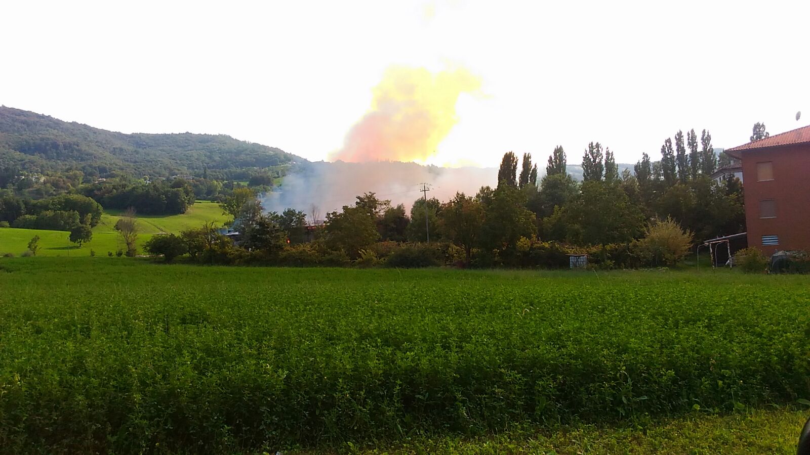  Modena, fienile distrutto dalle fiamme a Prignano, i Vigili del Fuoco portano in salvo 300 capi di bestiame