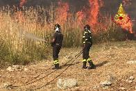 Alcuni degli interventi per incendi di vegetazione