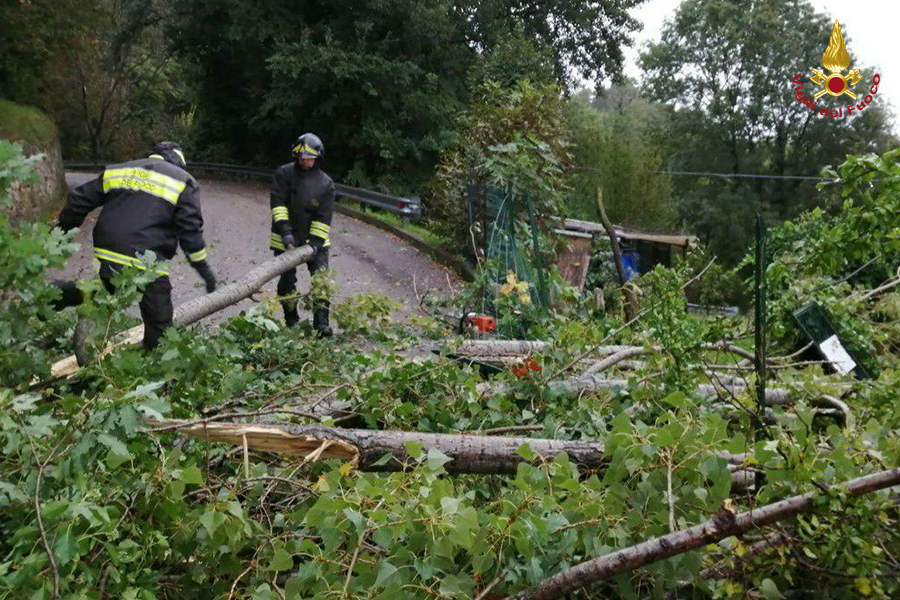 La rimozione dell'albero caduto a Castenovo del Friuli