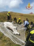 Rieti, intervento dei Vigili del Fuoco per portare succorso ad una mucca sul Monte di Cambio