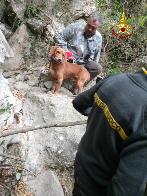 Savona, salvati due cani da caccia sulle alture di Alassio