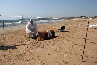 Trapani, fuoriuscita liquido sospetto da un fusto spiaggato sulla spiaggia di Campobello di Mazara