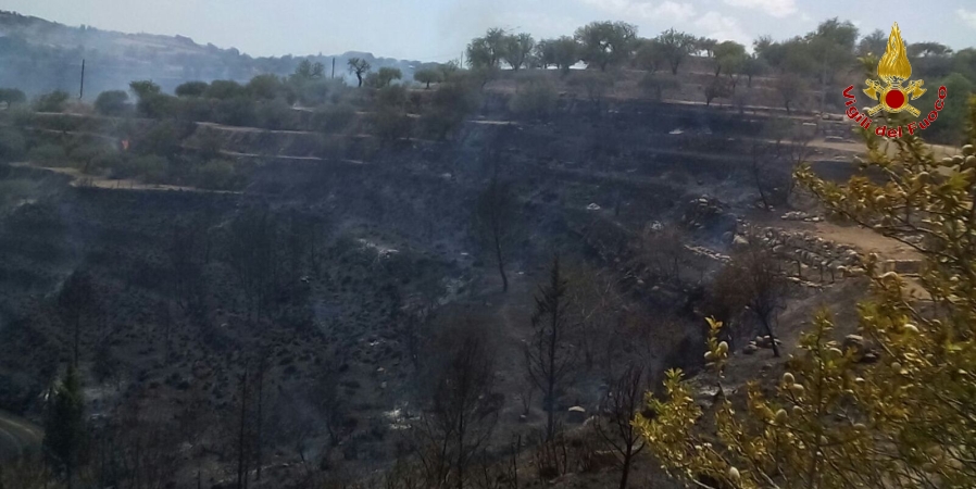 Ragusa, vasto incendio boschivo in localit S. Giacomo