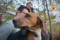 Torino, i Vigili del Fuoco portano in salvo un cane incastrato in un anfratto