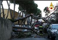 Livorno, emergenza maltempo a causa del forte vento di maestrale