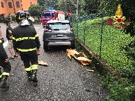 Varese, un fulmine colpisce un grosso abete nel comune di Porto Valtravaglia