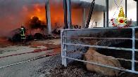 Vicenza, un vasto incendio interessa il fienile di un'azienda agricola