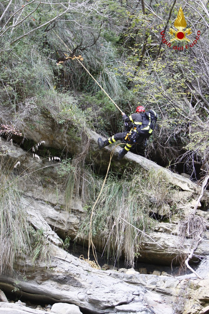 ASCOLIPICENO_saf (2) Tecniche SAF