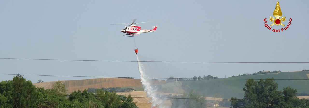 Vegetazione in fiamme a Jesi