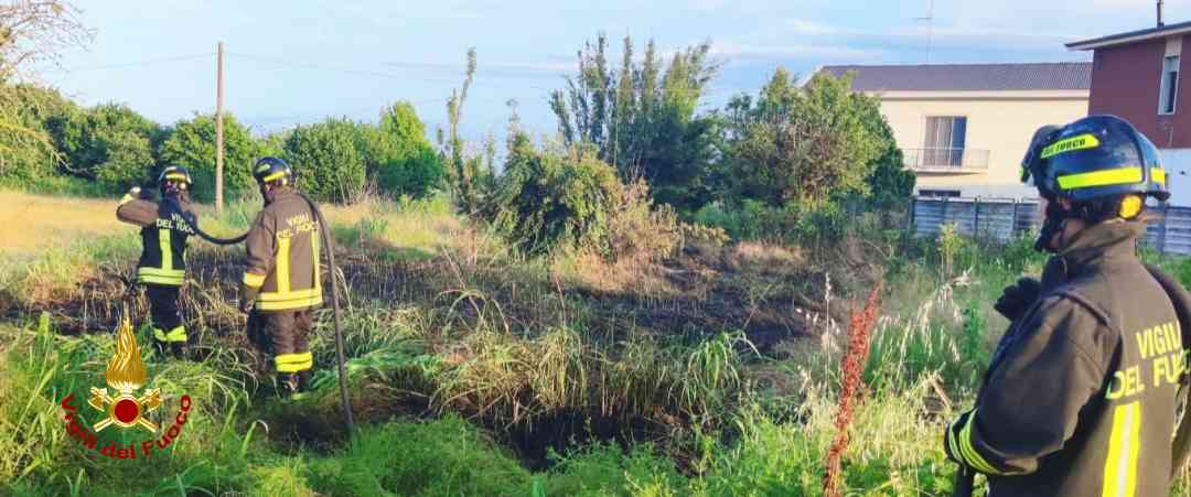 Incendio sterpaglie a Trino (VC)