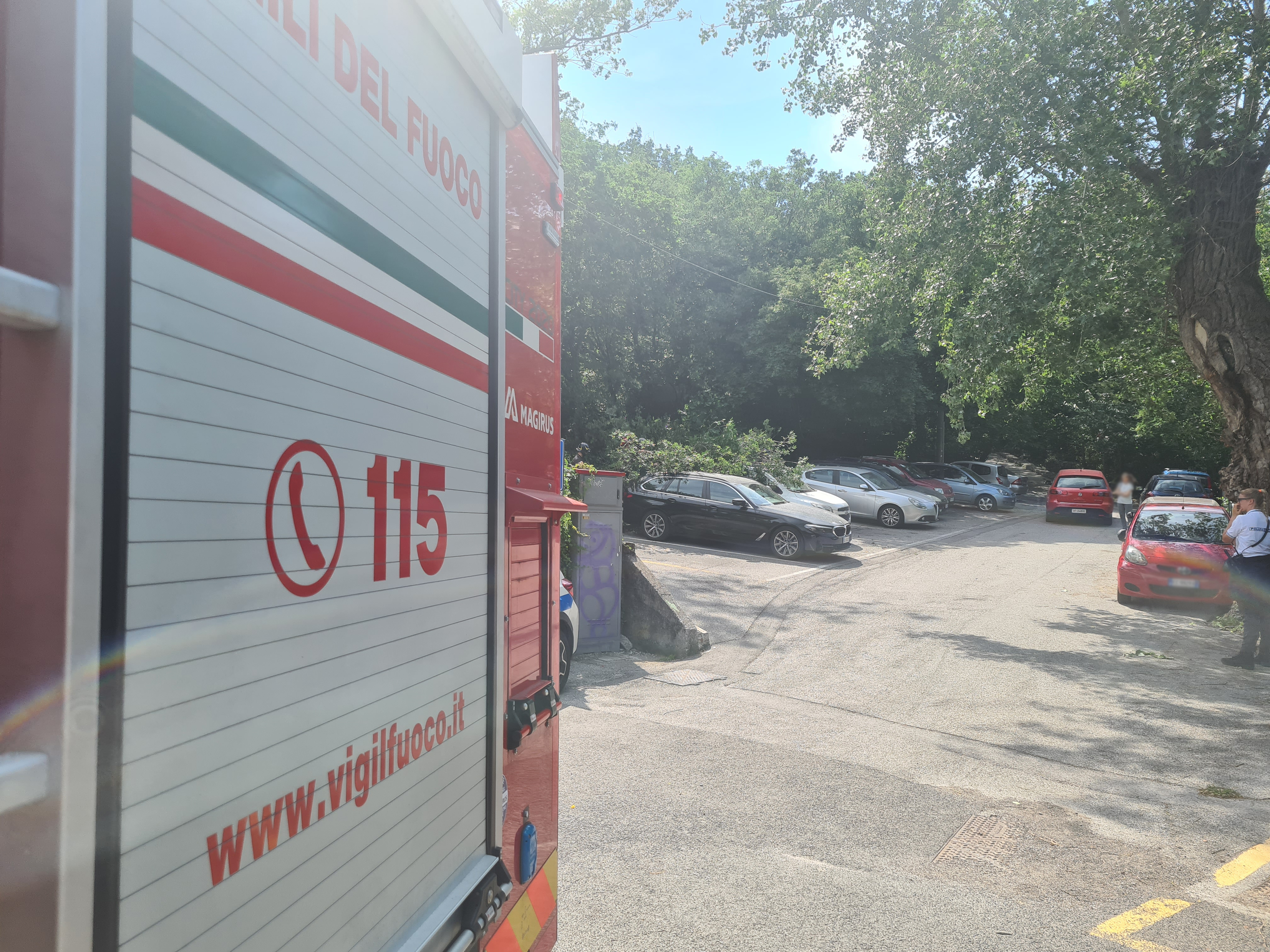 Trieste, Interventi per Bora