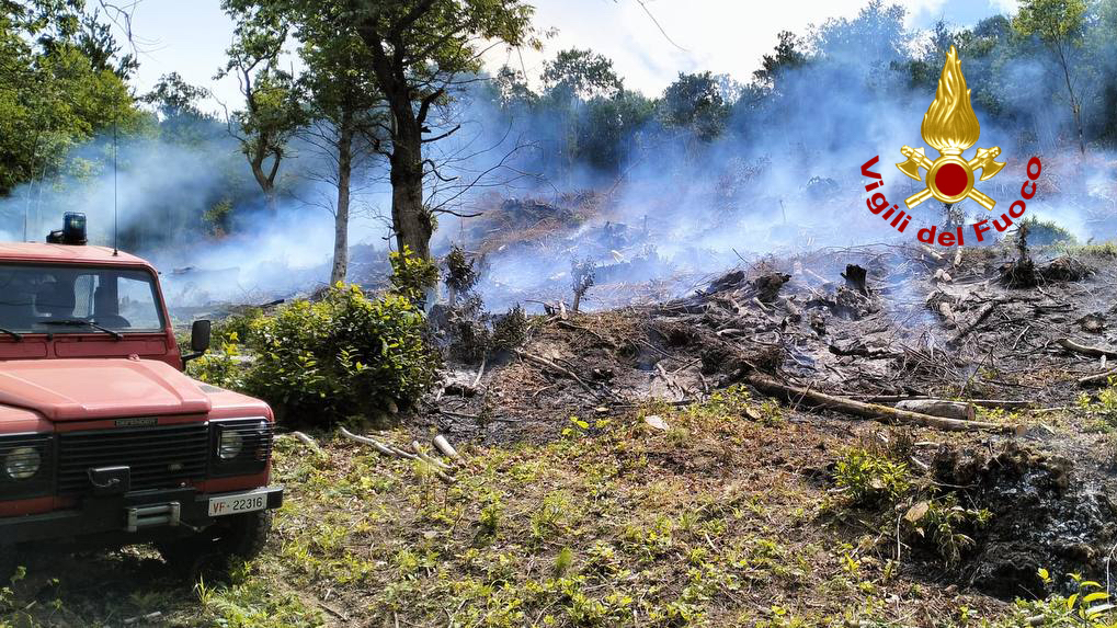 Bosco in fiamme in località Forca: Vigili del fuoco sul posto