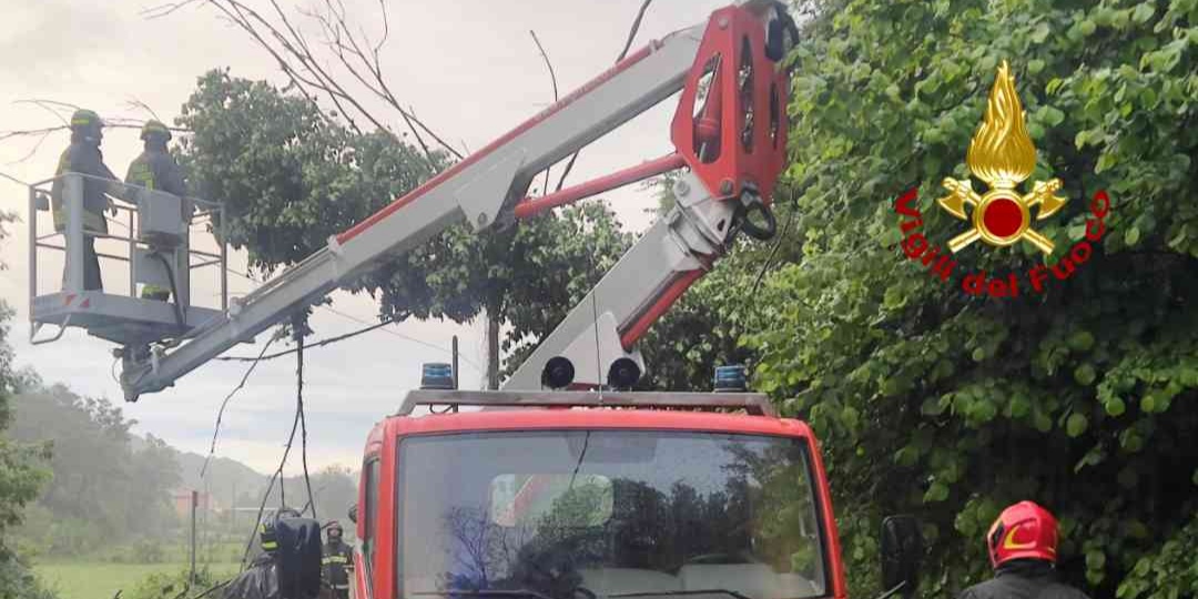 Albero pericolante - Quarona (VC)