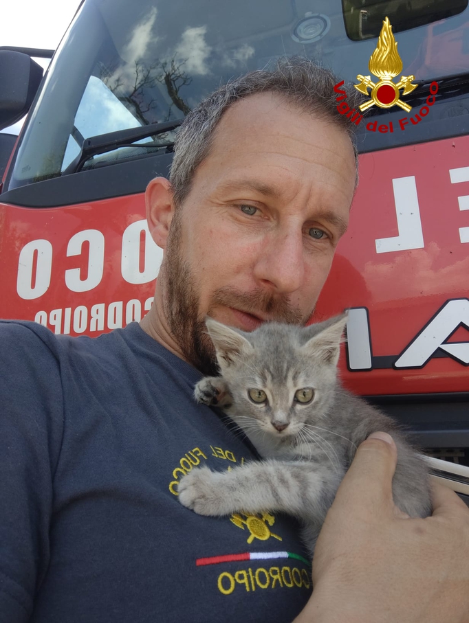 Salvati due gattini a Coseano