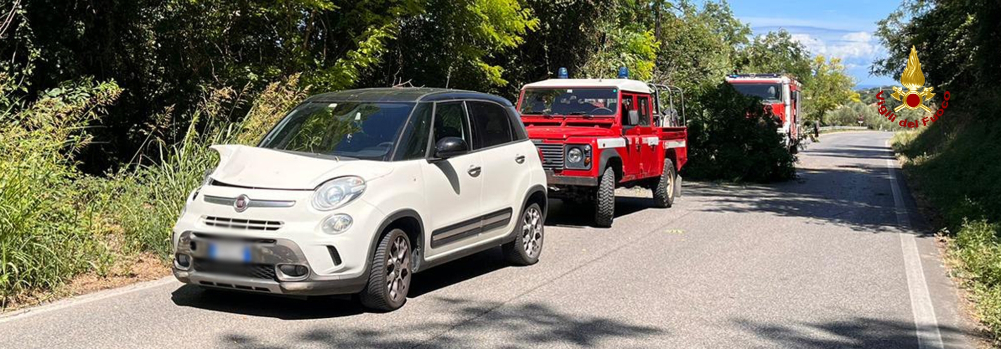 0.jpg Albero cade sulla sede stradale coinvolgendo un'auto in transito