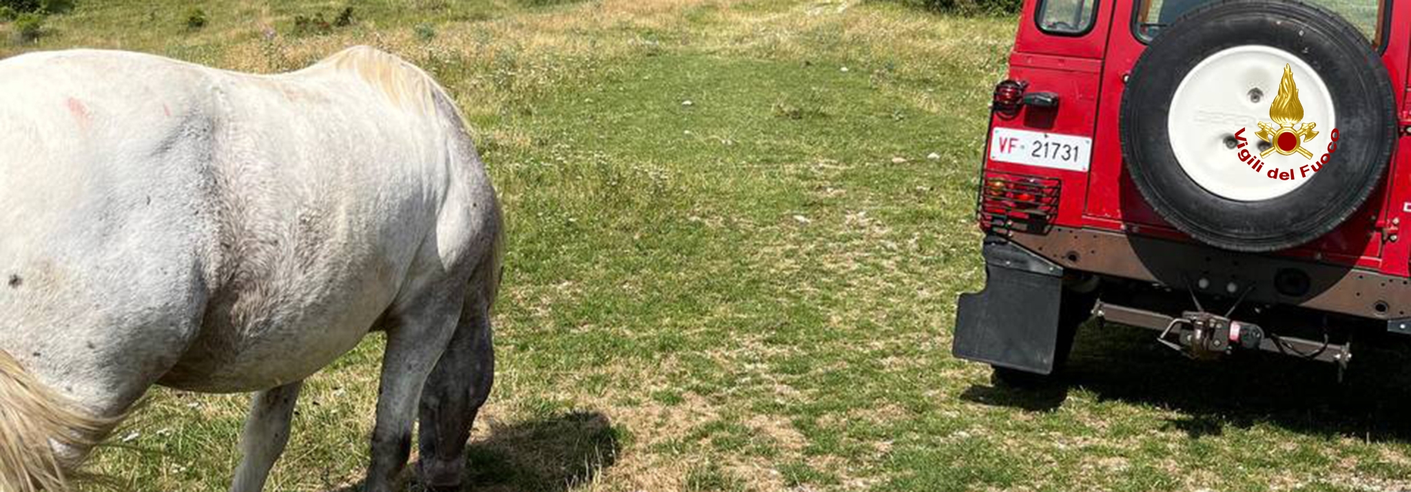 Recuperato cavallo a Montemonaco