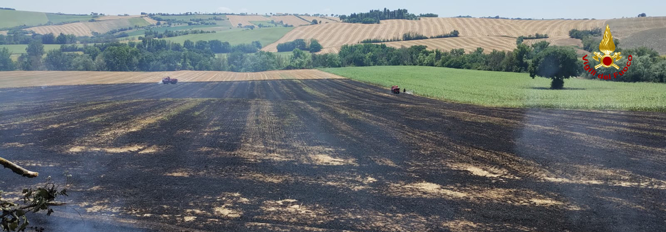 Incendio di vegetazione a Filottrano