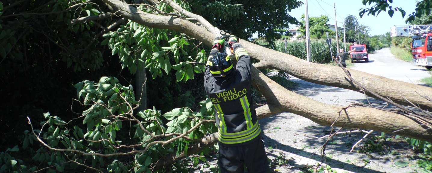 Maltempo colpisce la provincia di Gorizia: gli inteventi dei Vigili del fuoco