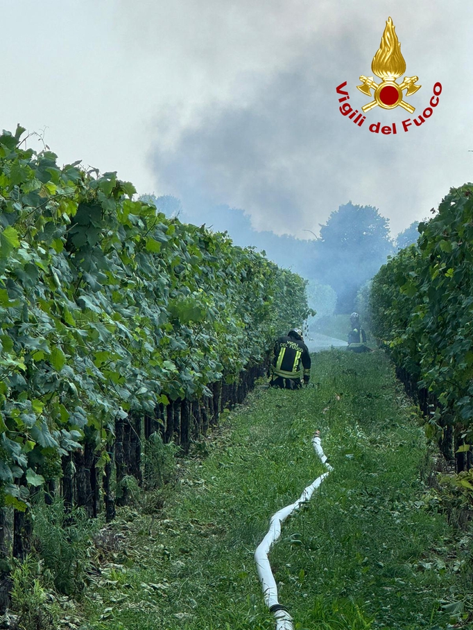 Trattore in fiamme in un vigneto