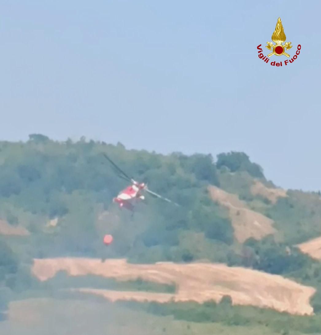 Incendio vegetazione a Roncofreddo