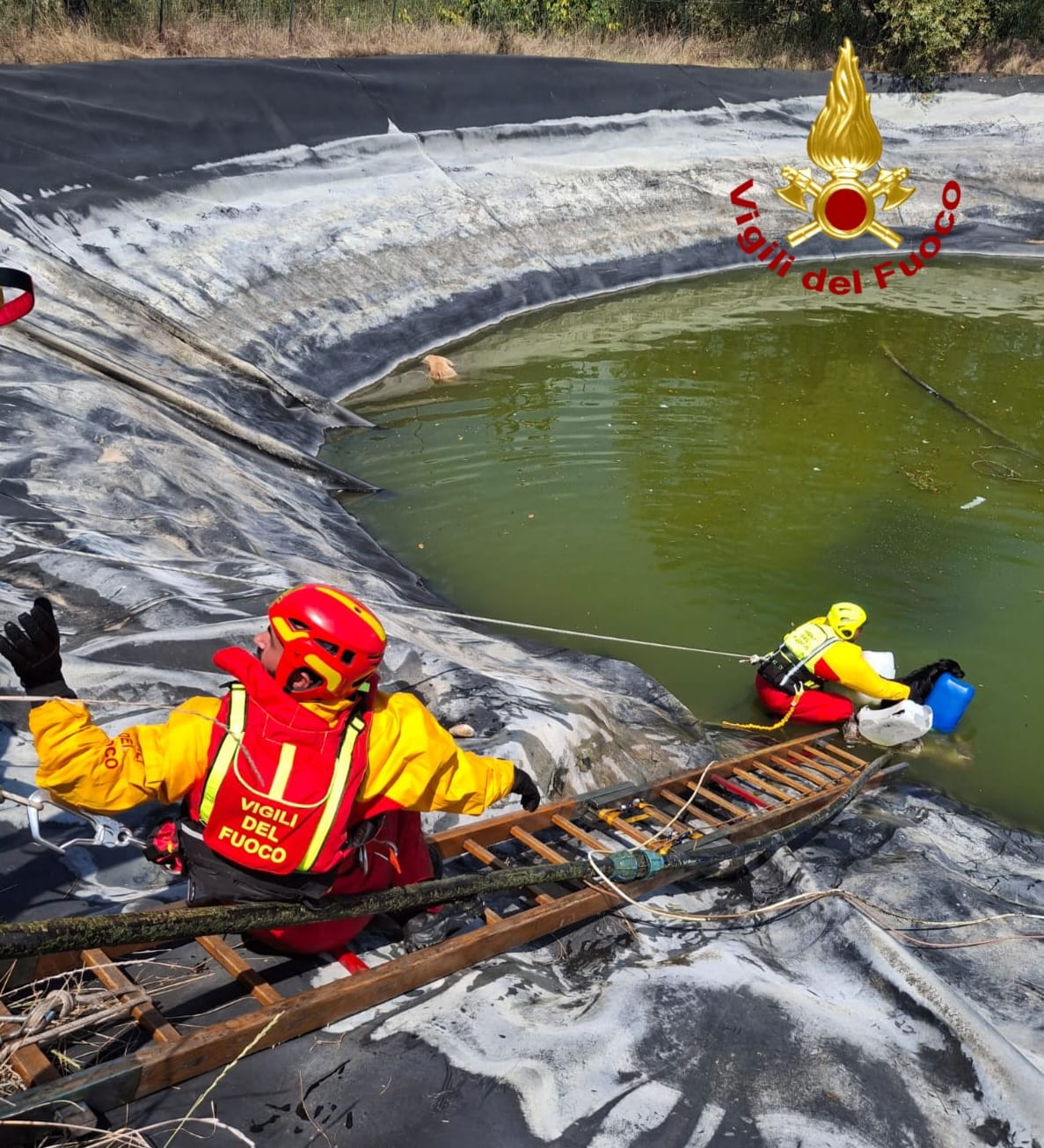 WhatsApp Image 2024-07-25 at 16.31.29.jpeg Tratto in salvo un pastore abruzzese e il proprio cucciolo