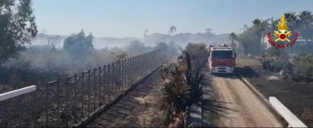 WhatsApp Image 2024-07-29 at 08.23.15 (1).jpeg Vasto incendio in un'azienda di fioricultura a Sabaudia