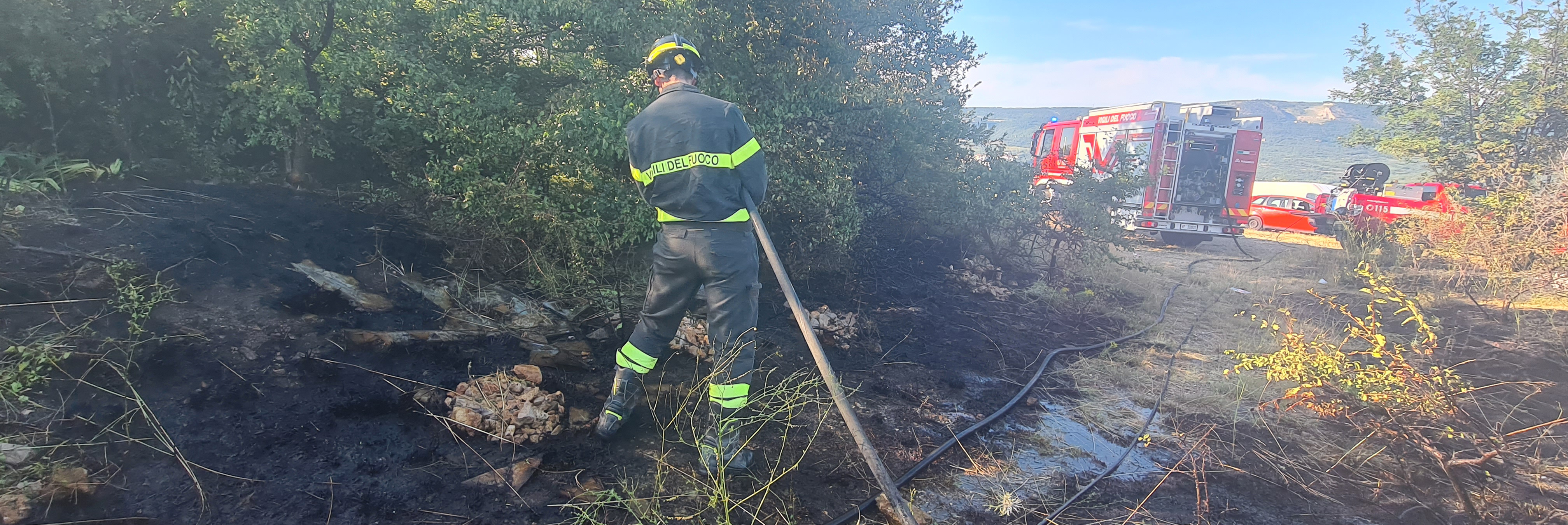 Incendio di vegetazione a San Dorligo Della Valle