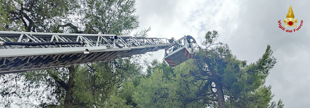 Interventi per maltermpo in Regione