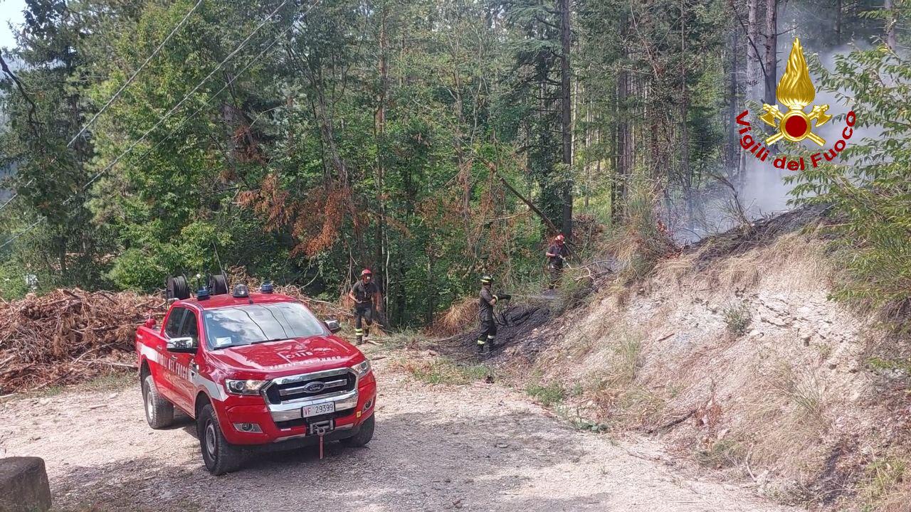 Incendio boschivo a Corniolo - Santa Sofia