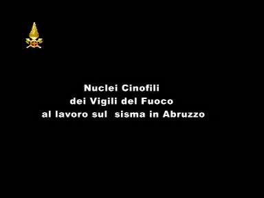 Il lavoro svolto dai nuclei cinofili dei VVF.mp4