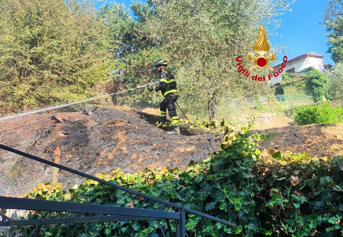 Intervenuti i Vigili del fuoco per un incendio di sterpaglie