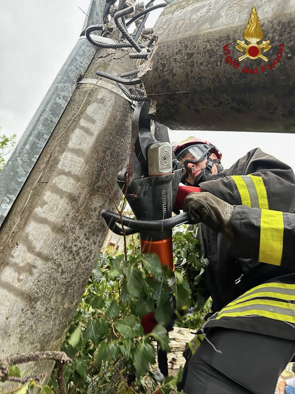 taglio palo.jpeg Isernia, pino marittimo cade su una strada tranciando linea elettrica e condutture gas