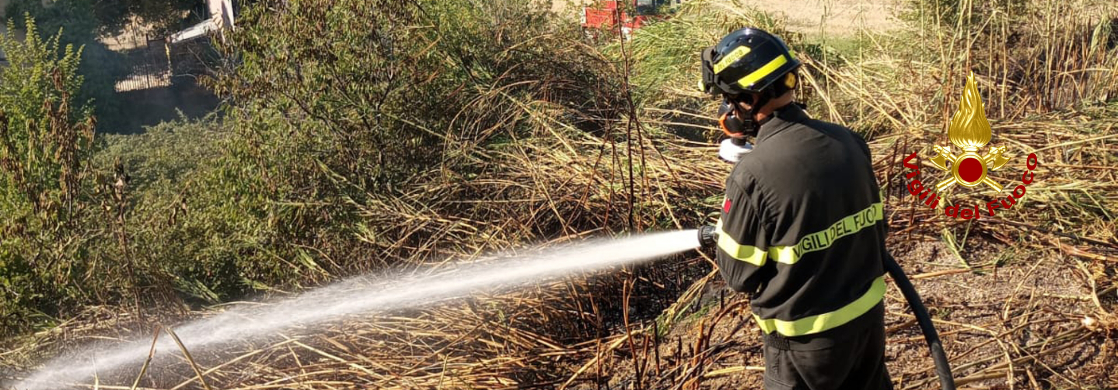 Intervento dei Vigili del fuoco nel pomeriggio per vegetazione in fiamme