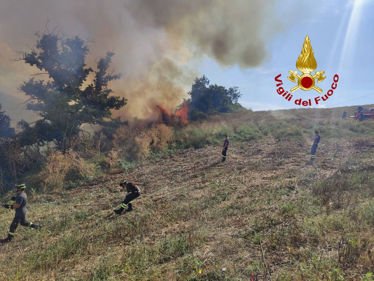 Bosco in fiamme in località Collemincio nel comune di Valfabbrica