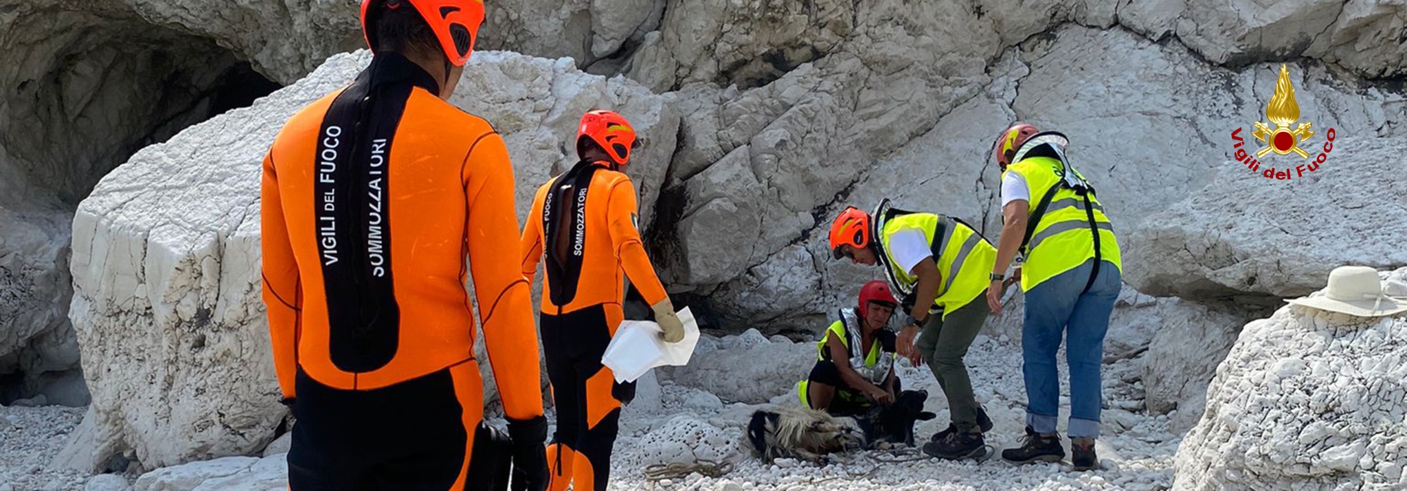 I Vigili del fuoco soccorrono una capra ferita sullo scoglio della Vela
