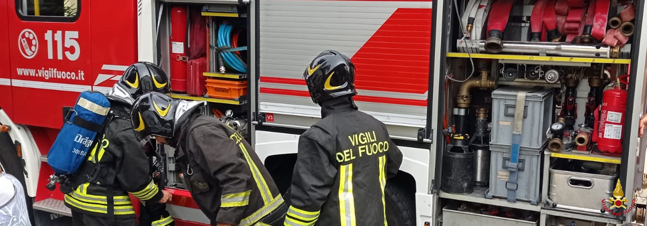 Cane.jpg Incendio in abitazione a Treia. Salvato un cane