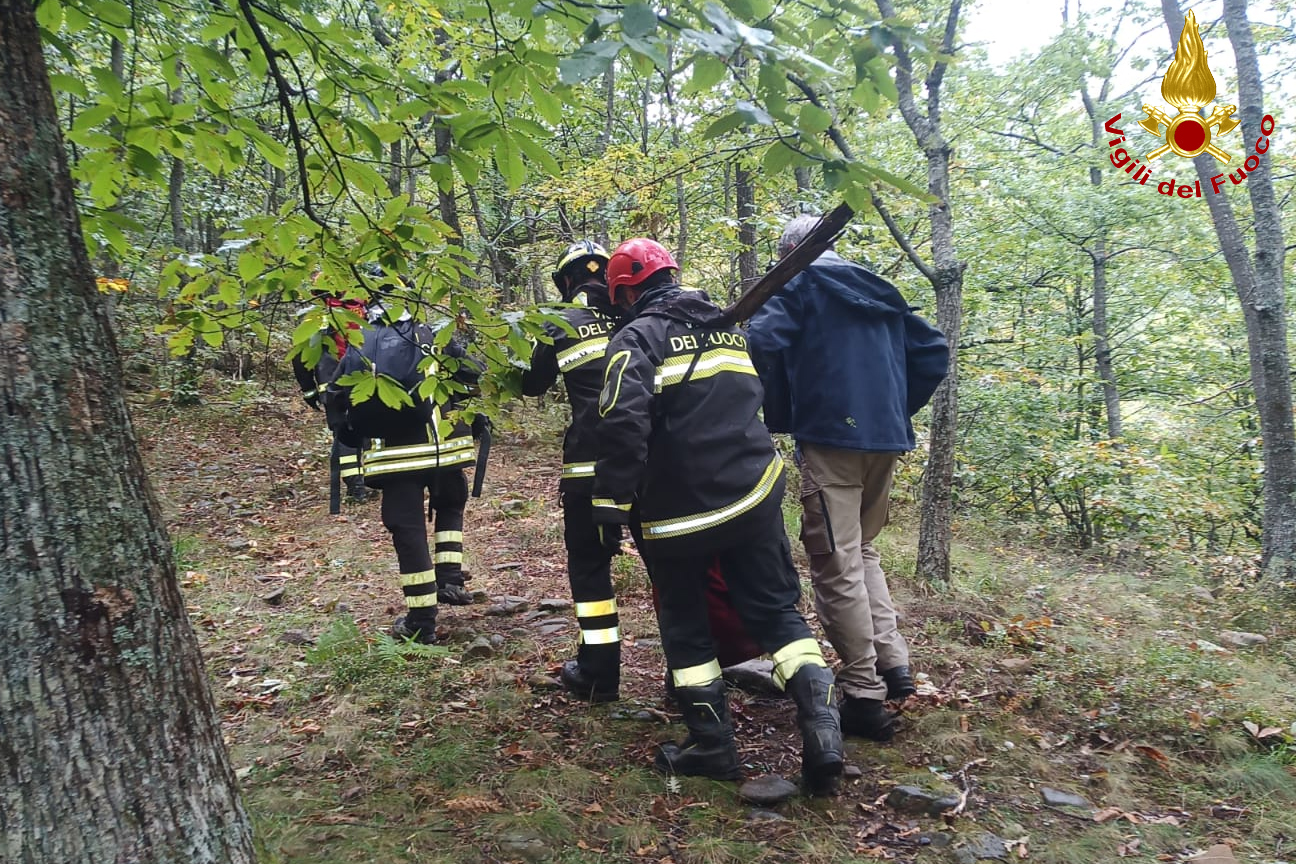 Recupero cane scivolato in un canalone a Sillano