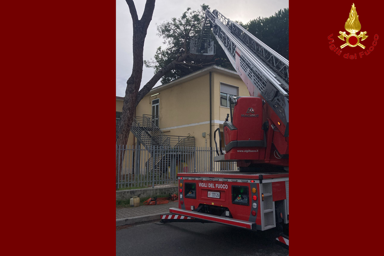 Viareggio - Intervento alla scuola Tobino