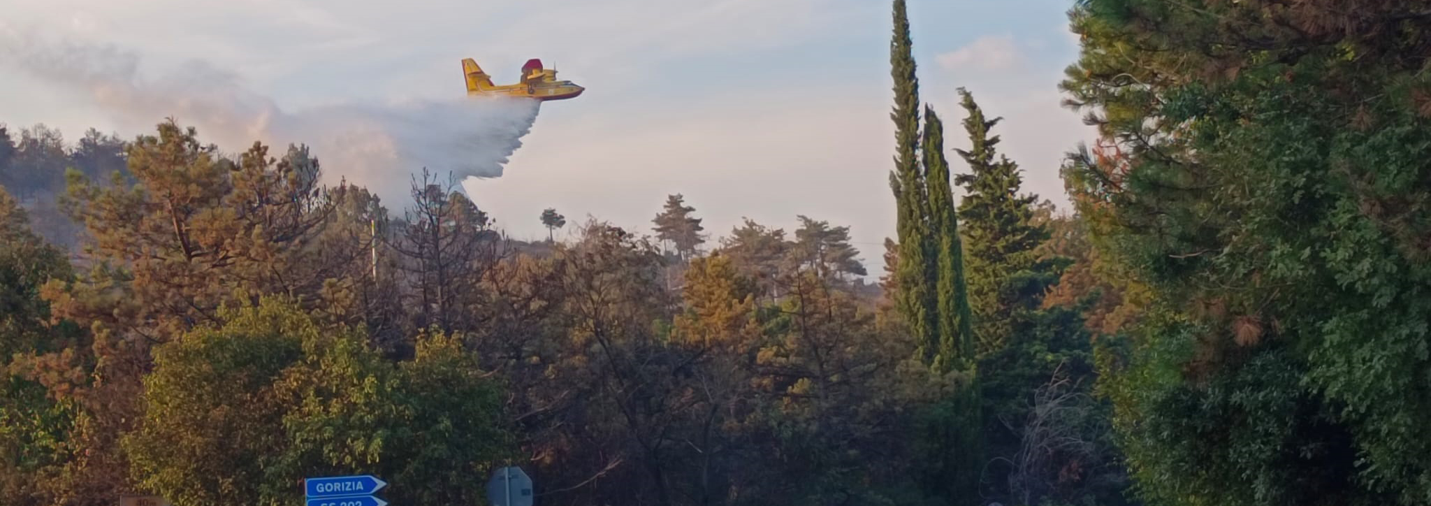 Vasto incendio vegetazione alle porte di Monfalcone