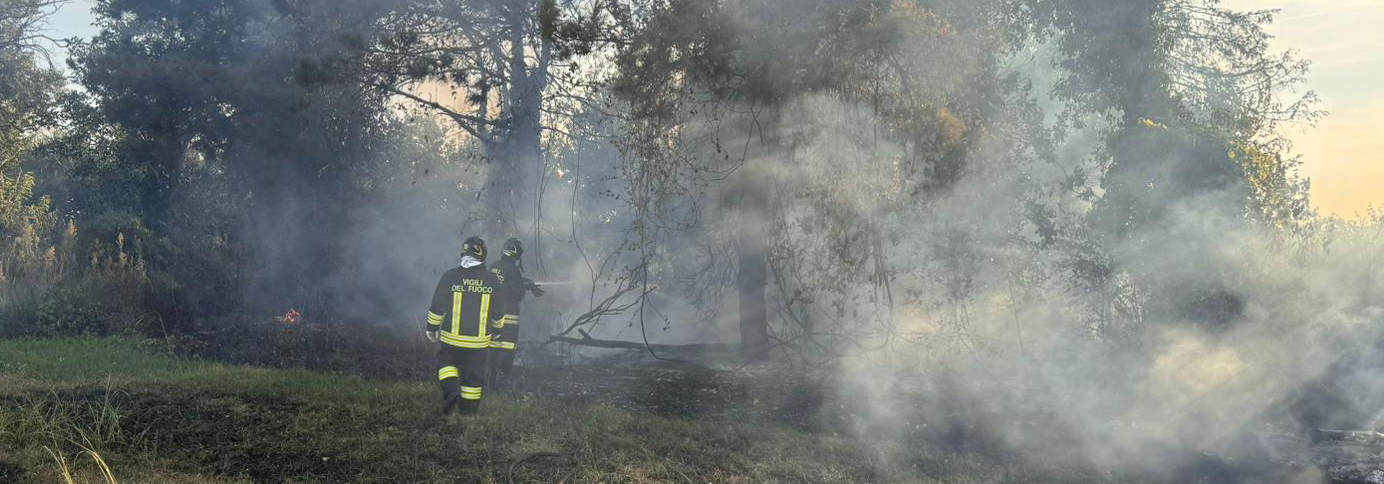 Vigili del fuoco al lavoro su due incendi vegetazione